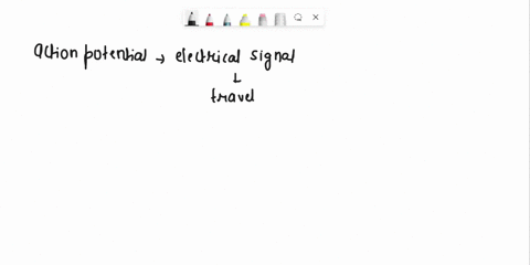 true-false-false-the-anatomy-qj-moving-1-questlon-oaes-0-1-neuron-only-allows-action-potentlals-travel-from-3-axon-hill-8-the-axon-terminal-01-708-search-default-3-7-10475