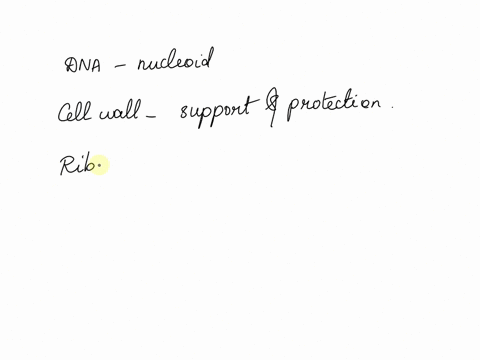 which-of-the-following-cell-structures-is-not-found-in-a-bacterial-cell-dna-cell-wall-40-ribosomes-plasma-membrane-central-vacuole-submit-request-answer-53976