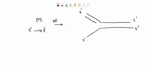 the-diagram-below-represents-a-dna-replication-fork-in-a-living-cell-direction-of-movement-of-replication-fork-parental-dna-tatn-4-a-add-the-two-new-dna-strands-being-synthesized-to-the-diag-90464
