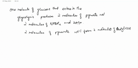 which-of-the-following-stores-the-most-chemical-energy-one-molecule-of-atp-one-molecule-of-glucose-one-molecule-of-glycogen-one-molecule-of-co2-86786