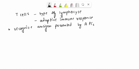 which-of-the-following-is-not-an-antigen-presenting-cells-apc-a-macrophage-b-dentritic-cell-c-t-cell-d-b-cell-18427