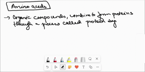 the-building-blocks-of-proteins-are-_____-nucleic-acids-amino-acids-sugars-fats-49906