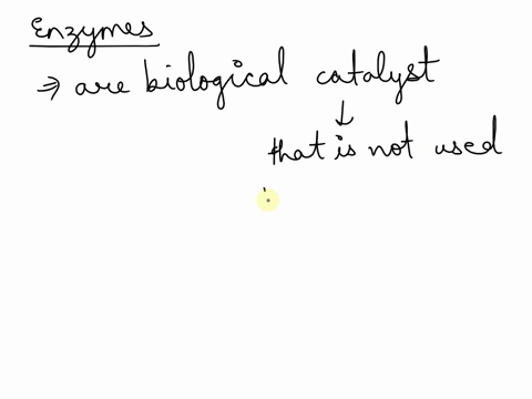 enzymes-are-catalysts-that-increase-the-rates-of-biochemical-reactions-true-false-89238