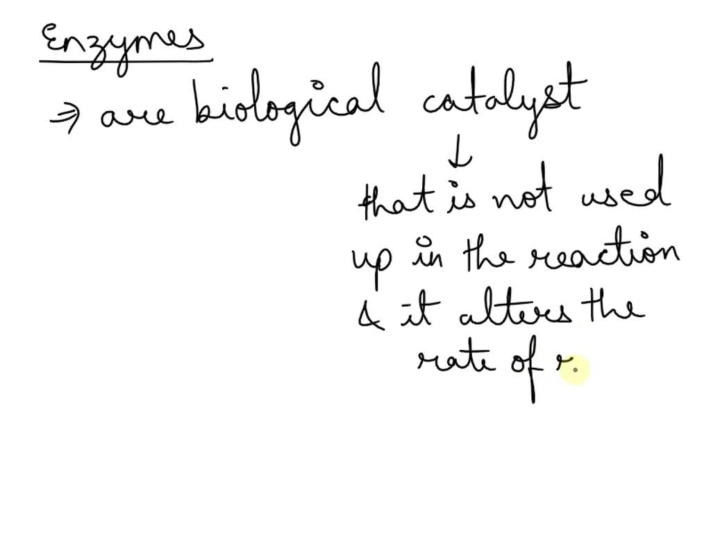 SOLVED '(2) 3ubi; At very high temperatures, enzymes break down by