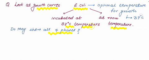 look-at-your-own-plotted-growth-curves-one-for-e-coli-incubated-at-37-degrees-c-and-the-other-one-for-ecoli-incubated-at-rt-do-they-show-all-four-phases-of-a-typical-bacterial-growth-curve-i-59213