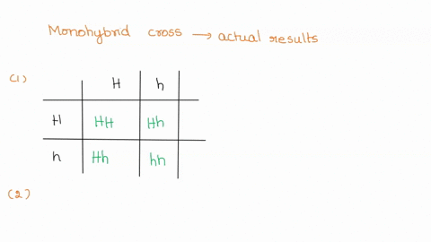 in-this-activity-you-will-compare-the-expected-results-of-a-monohybrid-cross-obtained-by-completing-a-punnett-square-to-the-actual-results-of-a-monohybrid-cross-represented-by-tossing-two-co-60378