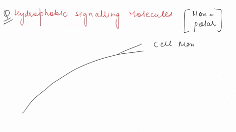 explain-how-hydrophobic-signaling-molecules-can-enter-target-cells-and-activate-signal-transduction-pathways-24676