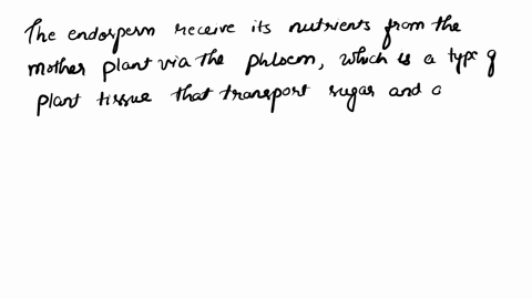 from-what-source-does-the-endosperm-receive-its-nutrients-as-it-develops-inside-the-seed-77327