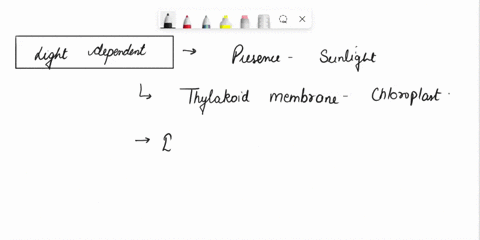 explain-either-the-light-dependent-reactions-of-photosynthesis-or-the-light-independent-reactions-of-photosynthesis-90417
