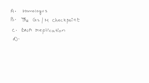 two-chromosomes-that-have-the-same-genes-but-may-have-different-alleles-of-those-genes-are-said-to-be-__________-a-homologous-b-sister-chromatids-c-identical-d-duplicated-after-dna-replicati-81402