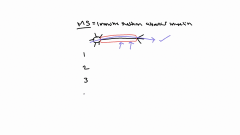 people-with-multiple-sclerosis-ms-experience-many-challenging-symptoms-which-statement-best-explains-one-cause-of-these-difficulties-people-with-multiple-sclerosis-ms-experience-many-challen-37257