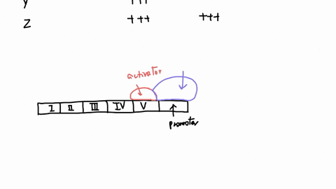 begintabularcccccc-hline-begintabularc-transcription-factor-endtabular-begintabularc-dna-sequence-i-endtabular-begintabularc-dna-sequence-ii-endtabular-begintabularc-dna-sequence-iii-endtabular-begint