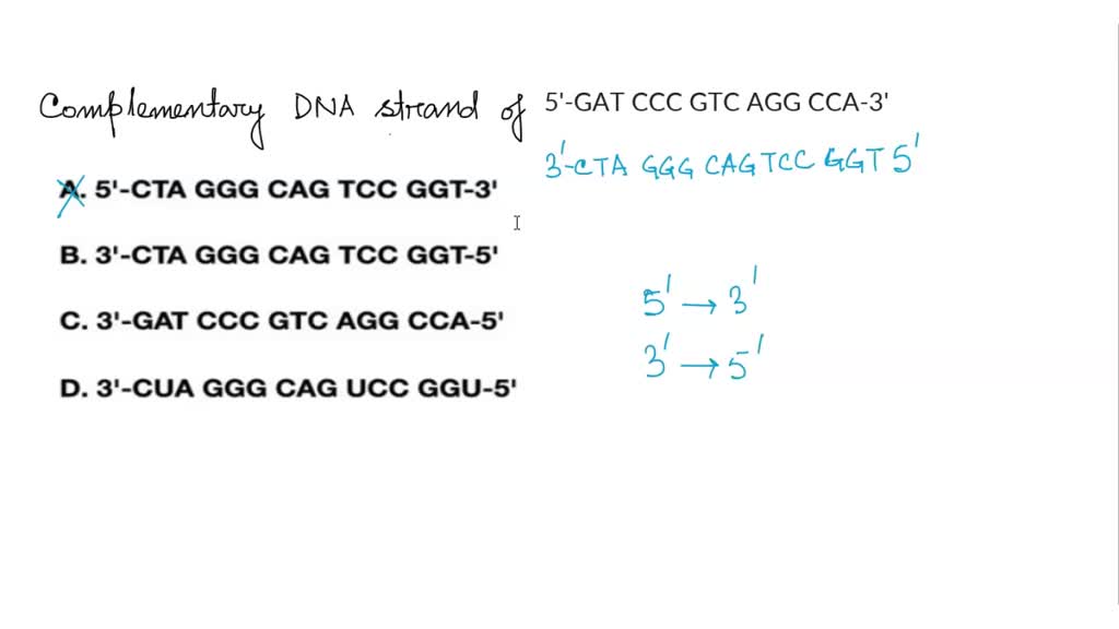 Solved: Given The Sequence Of A Dna Coding Strand, 5'-atg Gct Caa Tgc 