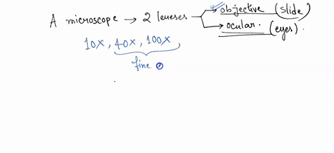 why-were-you-asked-t0-use-only-the-fine-adjustment-knob-after-switching-40x-connect-with-the-concepts-you-were-given-slide-to-observe-using-bright-field-compound-microscope-after-fitting-it-82923