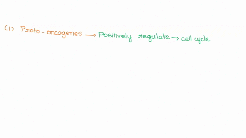 proto-oncogenes-the-cell-cycle_-tumor-suppressor-genes-the-cell-cycle-mutations-in-proto-oncogenes-cause-a-of-function_-mutations-in-tumor-suppressor-genes-result-in-a-function-07514