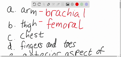 match-the-following-anatomical-part-to-its-corresponding-anatomical-name_-please-choose-the-name-that-best-describes-each-part_-not-all-of-the-anatomical-names-on-the-right-will-be-used-top-76412