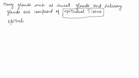 ____-many-glands-such-as-sweat-glands-and-salivary-glands-are-composed-of-this-tissue-94337