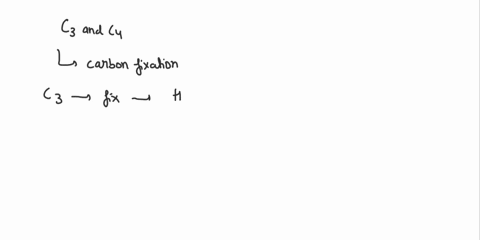 compare-the-process-of-carbon-fixation-in-c3-plants-to-that-of-c4-plants-29324