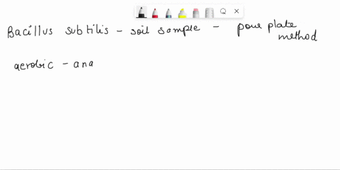 8-you-have-been-given-a-soil-sample-which-has-a-predominant-population-of-bacillus-subtilis-there-are-other-bacteria-as-well-in-the-soil-sample-you-have-been-asked-to-isolate-bacillus-subtil-23977