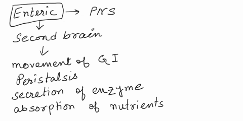 describe-the-general-function-of-the-enteric-nervous-system-and-autonomic-nervous-system-in-the-regulation-of-the-digestive-system-89148