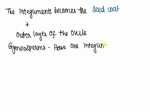 question-24-after-fertilization-the-integumentsof-gymnosperms-and-angiosperms-becomes-o-nutritive-tissue-oan-embryo-oa-seed-coat-o-an-ovule-oafruit-previous-12839