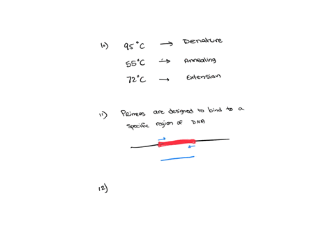 10-list-the-3-temperatures-used-in-pcr-and-describe-what-happens-at-each-temperature-in-a-pcr-reaction-how-do-primers-make-it-possible-to-amplify-a-specifc-region-of-dna-12-tyou-do-a-pcr-rea-12952
