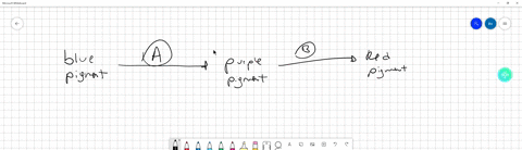 you-are-studying-the-genetics-of-pigment-synthesis-in-a-flower-a-blue-starting-pigment-is-converted-by-enzyme-a-into-a-purple-pigment-the-purple-pigment-is-then-converted-into-a-red-pigment-02411