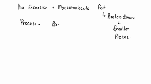 when-you-excersise-the-macromolecule-fat-is-broken-down-into-smaller-pieces-the-process-that-is-breaking-down-fat-is-called-____-this-process-_____-water-molecules-when-you-lie-on-your-couch-81064