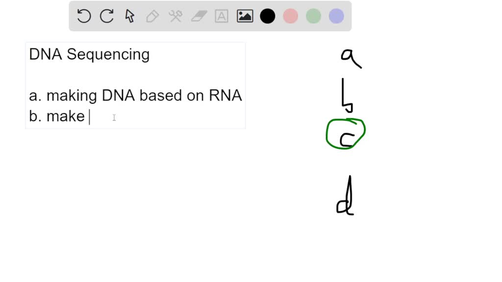 SOLVED: DNA-dependent DNA Polymerase Select One: Has Proofreading ...