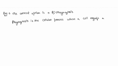 when-a-cell-engulfs-or-surrounds-a-particle-and-forms-a-vesicle-around-it-the-phenomenon-is-known-as-a-exocytosis-b-phagocytosis-c-endocytosis-d-none-of-these-62767