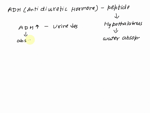 antidiuretic-hormone-adh-a-large-peptide-hormone-is-produced-by-the-hypothalamus-in-the-brain-and-is-released-into-the-bloodstream-when-necessary-to-regulate-water-and-electrolyte-balance-up-94228