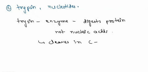 which-of-these-pairs-is-not-a-correct-match-betwieen-an-enzyme-pepsin-proteins-and-the-macromolecule-amylaso-carbohydrates-trypsin-nuclelc-acids-lipasc-lipids-55067