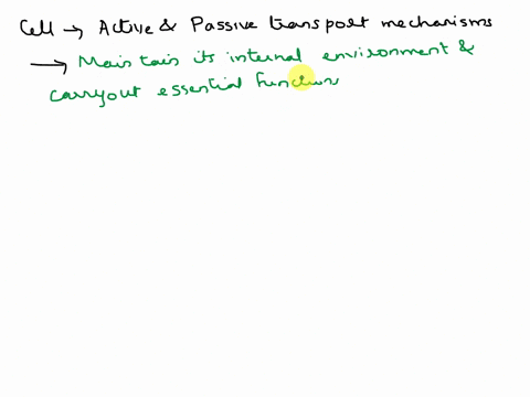 why-does-a-cell-require-both-active-and-passive-transport-97475