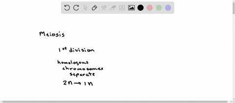 1-the-second-meiotic-division-causes-which-of-the-following-a-1n-1n-b-2n-2n-c-1n-2n-82026
