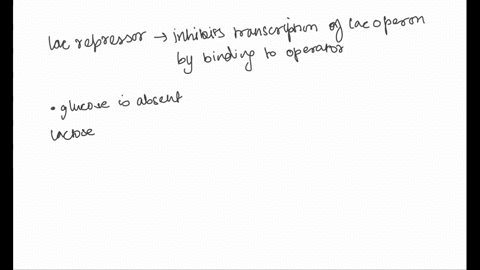 youre-growing-a-culture-of-e-coli-cells-without-glucose-that-has-a-mutation-in-the-lac-operator-sequence-such-that-it-cant-bind-the-lac-repressor-explain-what-would-be-occurring-to-the-lac-o-14066