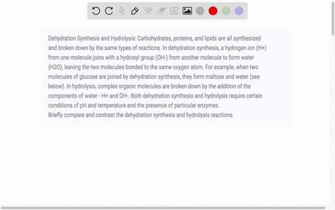 dehydration-synthesis-and-hydrolysis-carbohydrates-proteins-and-lipids-are-all-synthesized-and-broken-down-by-the-same-types-of-reactions-in-dehydration-synthesis-a-hydrogen-ion-h-from-one-m-36256