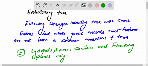 and-again-according-to-the-information-shown-in-the-evolutionary-tree-diagram-below-which-of-the-following-lineages-livenworts-lycopods-ferns-conifers-and-flowering-plants-include-taxa-with-80272