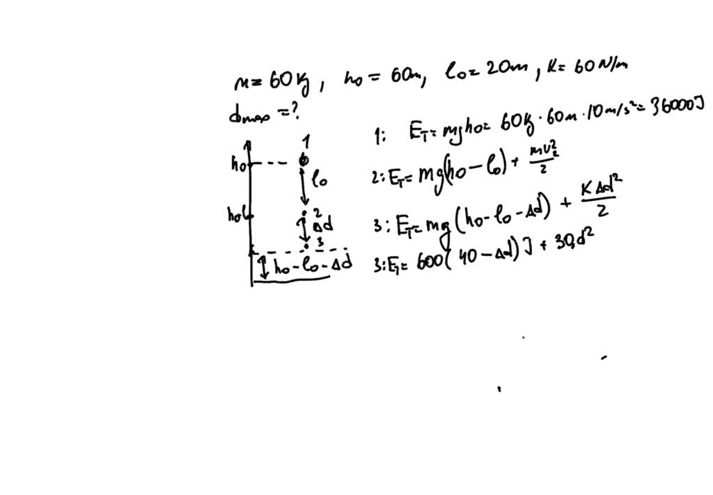 SOLVED Bungee jumping A 60kg person (assume point mass) jumps from a