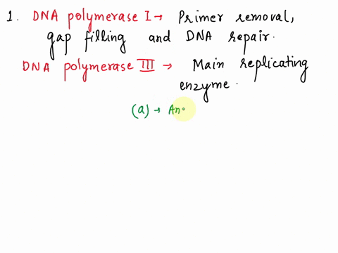 dna-polymerase-i-_________-whereas-dna-polymerase-iii-________-a-replaces-rna-nucleotides-in-the-primer-with-dna-nucleotides-adds-the-next-nucleotide-to-the-growing-strands-b-proofreads-newl-70163