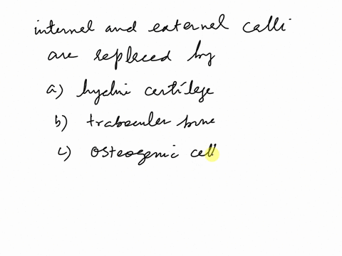 the-internal-and-external-calli-are-replaced-by-_______-a-hyaline-cartilage-b-trabecular-bone-c-oste-50089