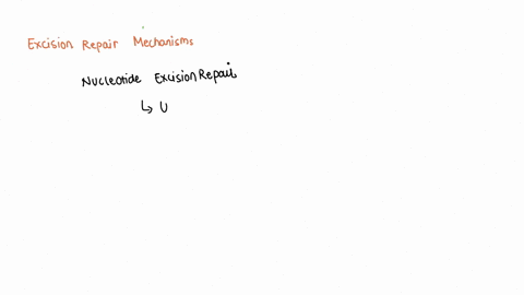 which-of-the-following-statements-about-excision-repair-is-correct-a-base-excision-repair-is-initiated-by-dna-glycosylases-that-recognize-abnormal-deoxyriboses-in-dna-b-nucleotide-excision-r-57914