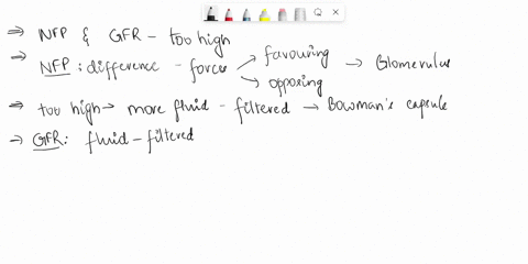 if-net-filtration-pressure-and-glomerular-filtration-rate-were-too-high-group-of-answer-choices-wastes-would-accumulate-in-the-blood-not-enough-nutrients-would-be-reabsorbed-reabsorption-wou-32482