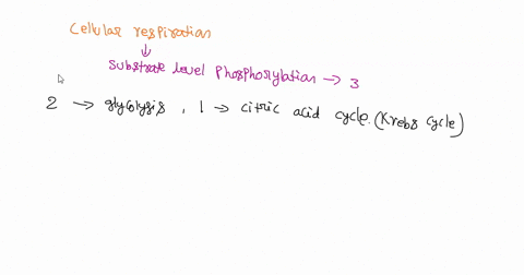 in-which-reactions-of-cellular-respiration-does-substrate-level-phosphorylation-occur-only-in-glycolysis-in-both-glycolysis-and-the-citric-acid-cycle-only-in-ihe-citric-acid-cycle-only-in-he-00939