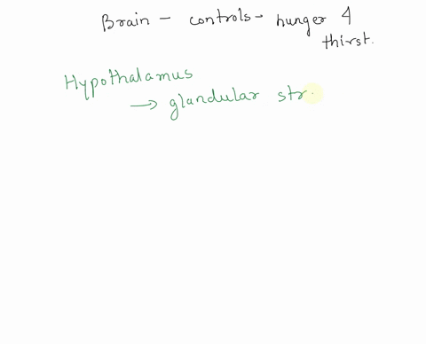 which-part-of-the-brain-regulates-hunger-and-thirst-82167