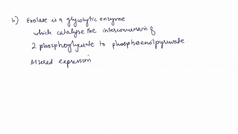 1-predict-the-effects-of-a-mutation-to-enolase-which-renders-it-completely-inactive-what-specific-effect-would-this-have-on-the-cell-immediately-and-what-more-general-and-overall-effect-woul-61936