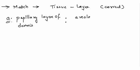 what-layer-is-correctly-matched-with-the-tissue-that-forms-it-a-papillary-layer-of-dermis-areolar-connective-tissue-b-subcutaneous-layer-dense-irregular-connective-tissue-c-reticular-layer-o-73432