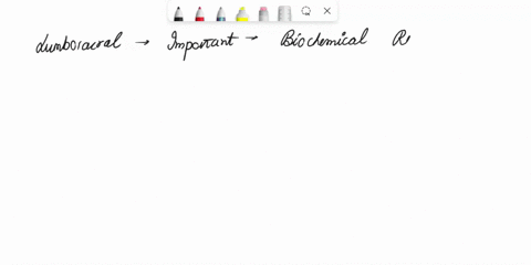 the-objectives-of-this-activity-1-demonstrate-effective-communication-skills-explaining-the-importance-biomechanical-principles-movement-in-physiotherapy-topic-you-required-t0-write-an-ignme-68878