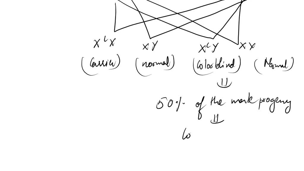 SOLVED: 'A woman with normal vision has father that is colorblind If ...