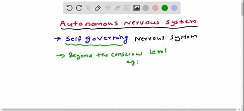 the-autonomic-nervous-system-controls-internal-functions-such-as-heart-rate-and-glandular-activity-3-81716
