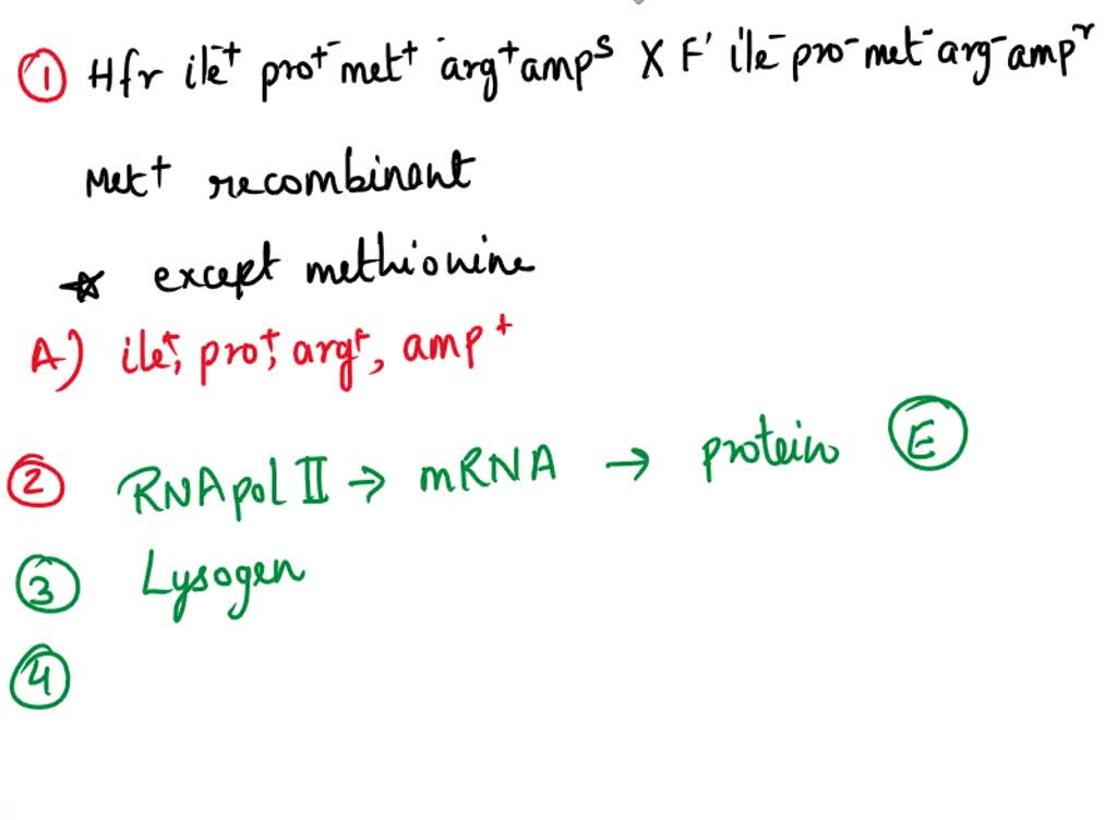 Arg SOLVED: Escherichia coli: The genes ileT, proT, met+, and arg+ are ...